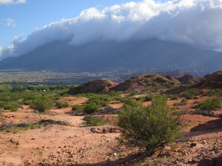 Valles Calchaquies near Cafayate, Salta province.