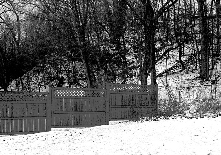 I awoke this morning to snow covering the landscape, as shown in this scene of my backyard and the woods adjoining it.