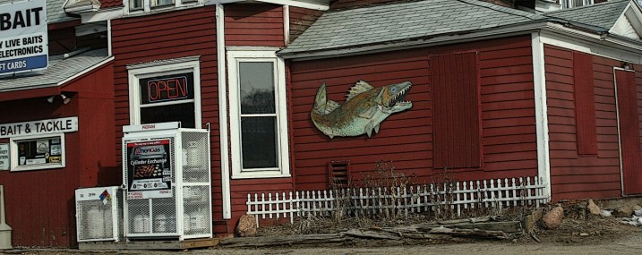 Oh, how I love that kitschy fish.