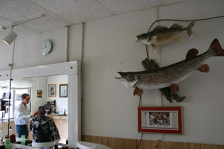Steve caught the walleye at Lake Gorman, the Northern at Red Lake.