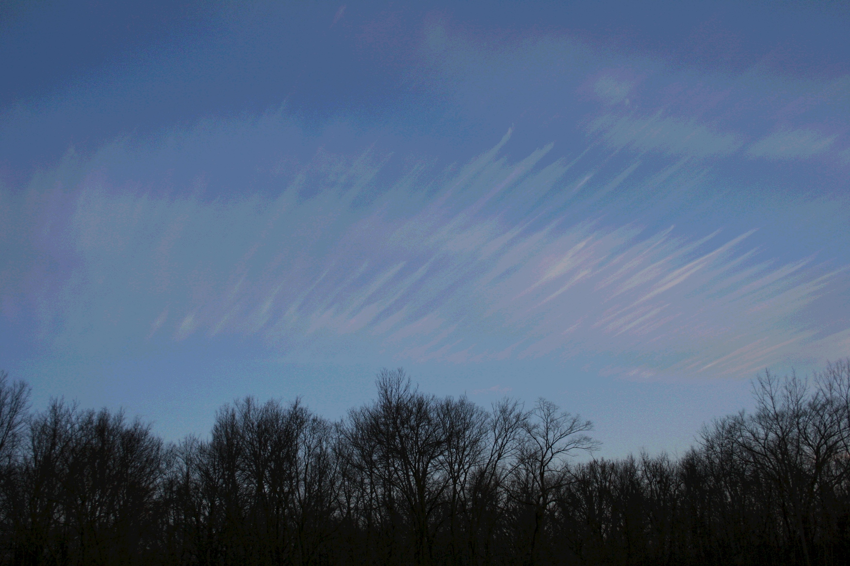 Day fades into evening at the nature center.