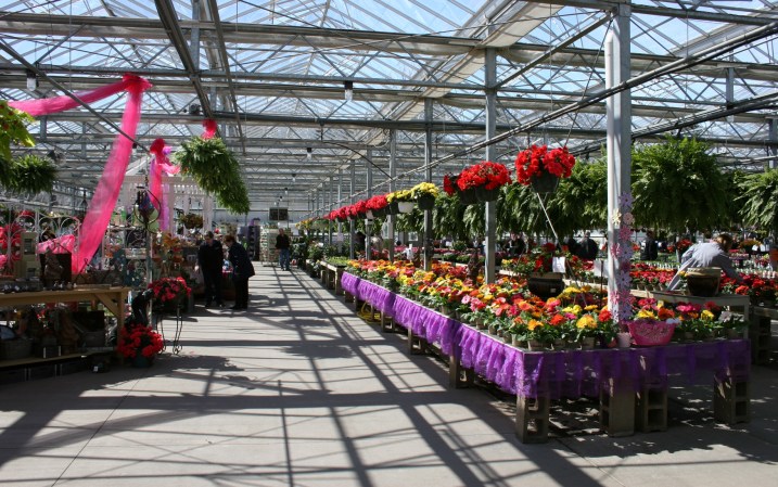 Greenhouse, broad view
