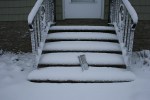 Snow, steps