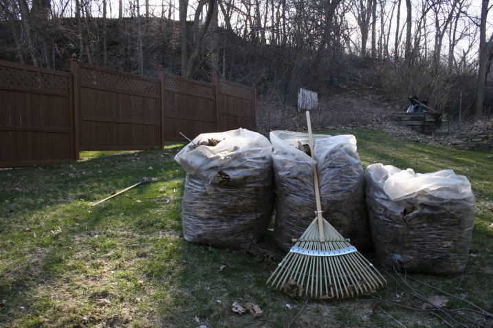 I raked these leaves from backyard flower beds. Look at that lawn and the hillside. No snow. Anywhere.