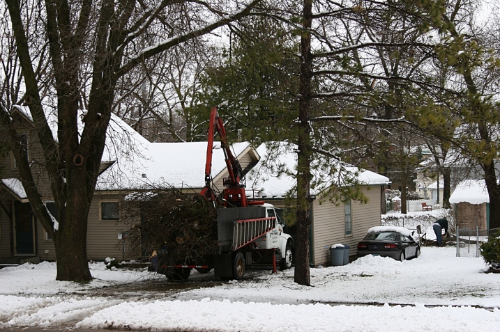 Directly across Willow Street from my home, another neighbor had to deal with fallen branches and limbs in his yard.