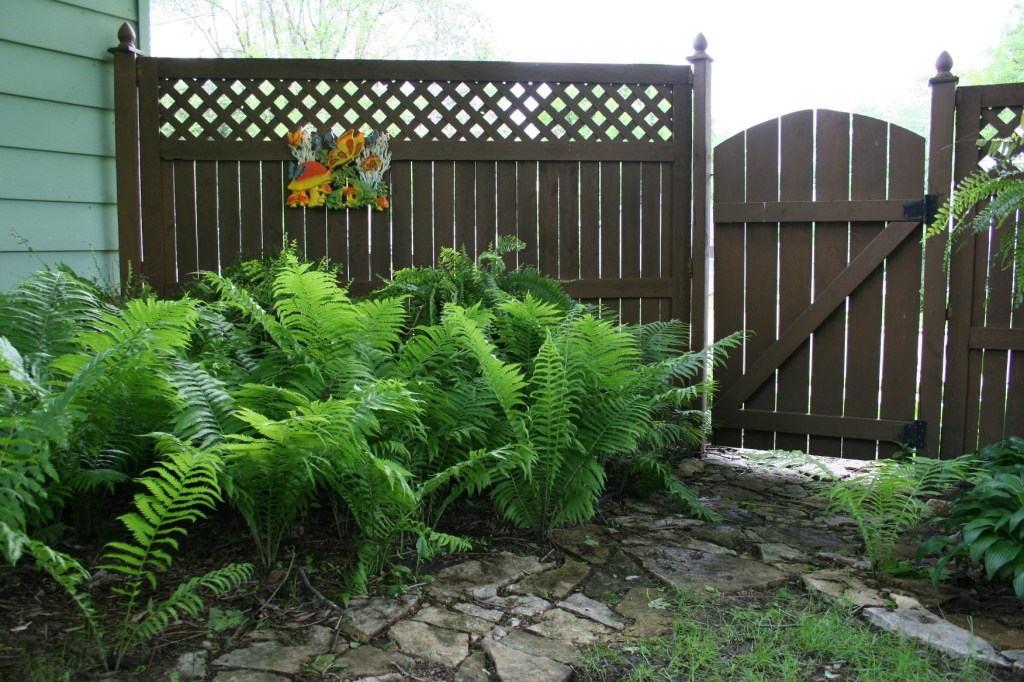 I had the perfect spot in mind when I bought that frog art.