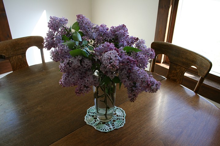 Lilac, on table 1 - Copy