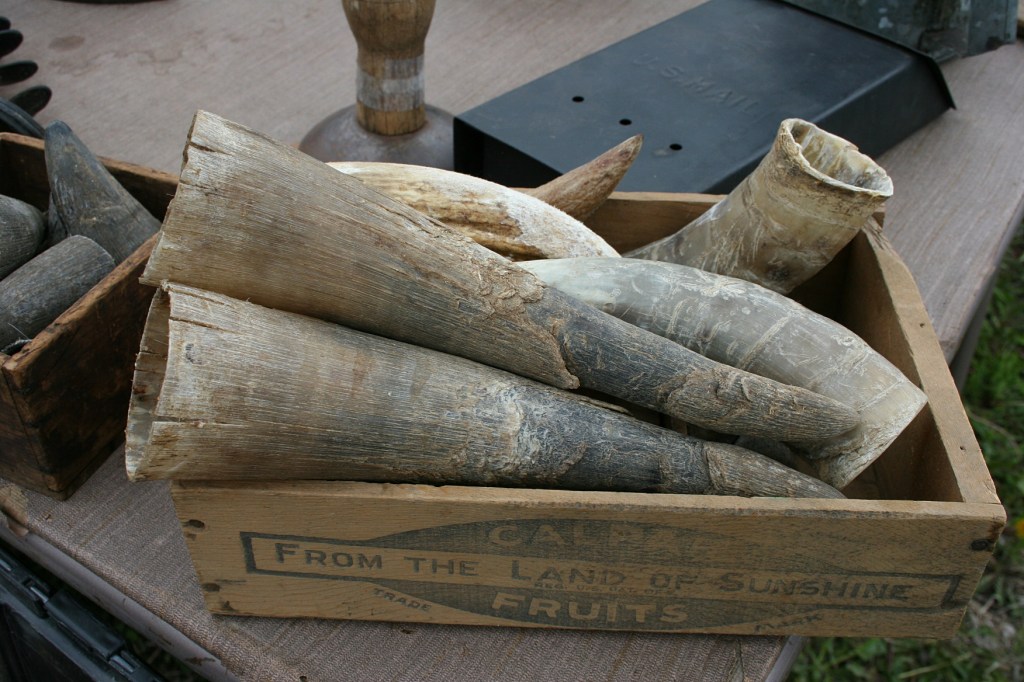 Every time I attend this flea market, I look for a weird piece of merchandise. This year it would be these horns.