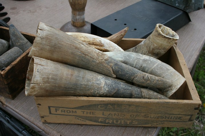 Every time I attend this flea market, I look for a weird piece of merchandise. This year it would be these horns.