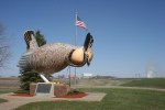 Rothsay, Prairie chicken and&nbsp;smoke