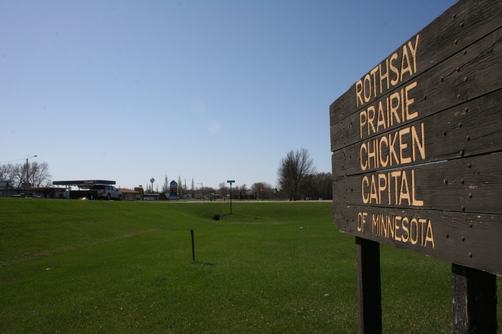 The road to the left leads into Rothsay, "The Prairie Chicken Capital of Minnesota."