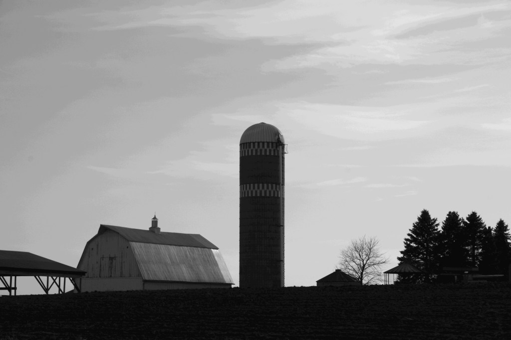 Rural scenes, barn and silo