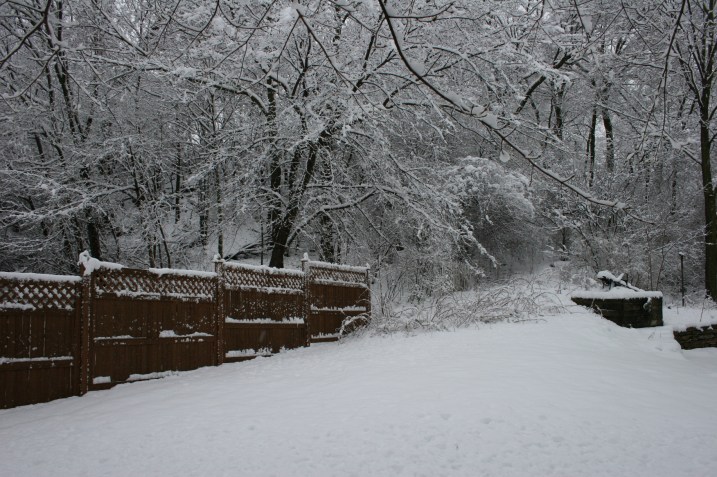 Our snowy backyard.