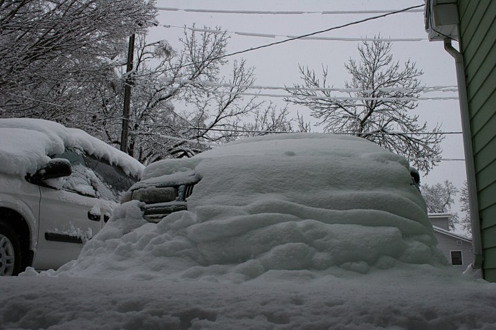 I opened the garage door this morning to this scene.