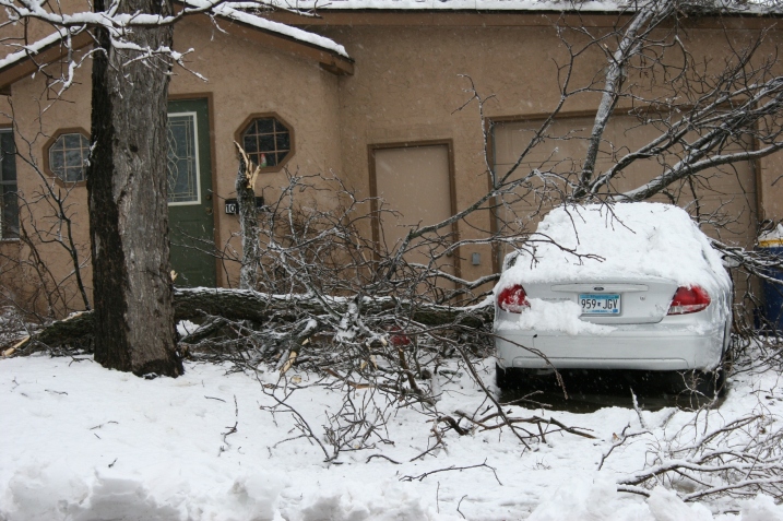 Branches are down all over, including at my new neighbor's house across the street.
