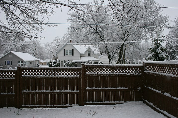 Note, again, the sagging power lines in this shot taken from my backyard looking toward my neighbor's house across Willow Street.