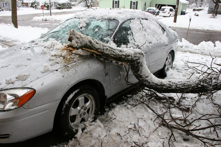 A limb broke off my neighbor's tree around 6 a.m., striking her house and then smashing onto her car, breaking the windshield. In this photo my husband had already sawed a portion of the limb off. We then pulled this remaining limb from her car so she could move it, before another limb fell.