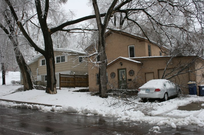 Look to the upper left in this photo and you'll see one particular limb broken off and looming over my neighbor's yard.