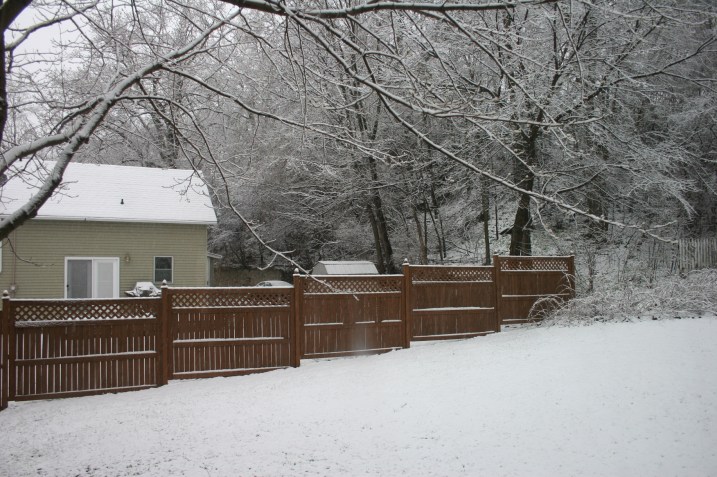 When I showed you my backyard a few days ago, it was snow-free. Not so this evening.