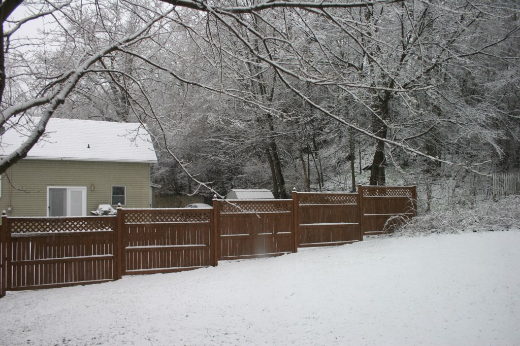 When I showed you my backyard a few days ago, it was snow-free. Not so this evening.