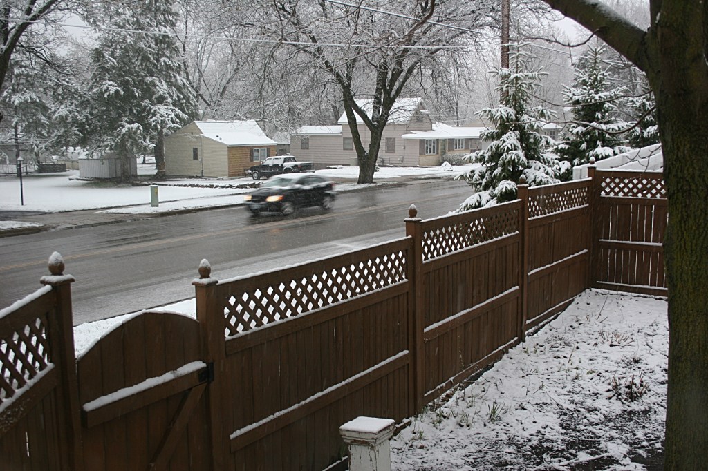 My backyard in the foreground with Willow Street and my neighborhood beyond.