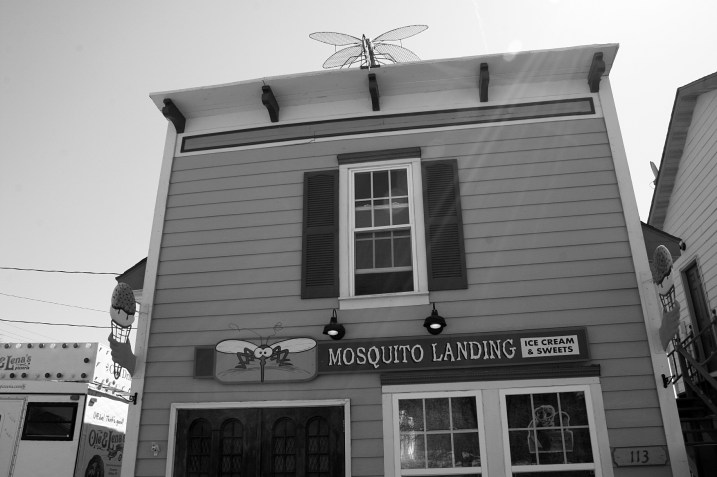 I just had to appreciate the name of this ice cream shop in Rothsay, with a mosquito atop the roof.