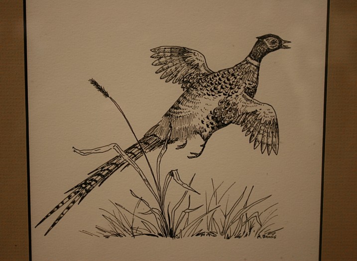 For the wildlife lover...