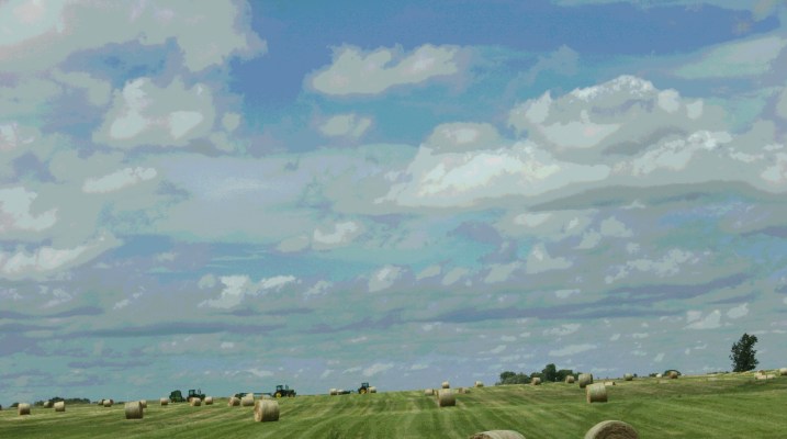 Making hay, along old U.S. Highway 14 west of Owatonna.