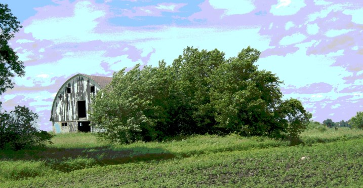 In Merton Township, Steele County, Minnesota.