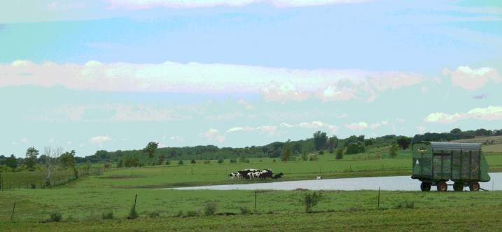 Along Rice County Road 21 south of Faribault.