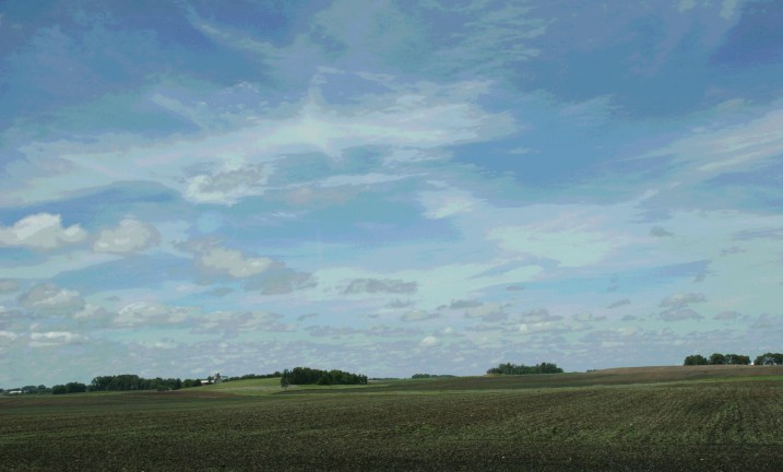 Checking out the crops near Moland Lutheran Church in Steele County, Minnesota.