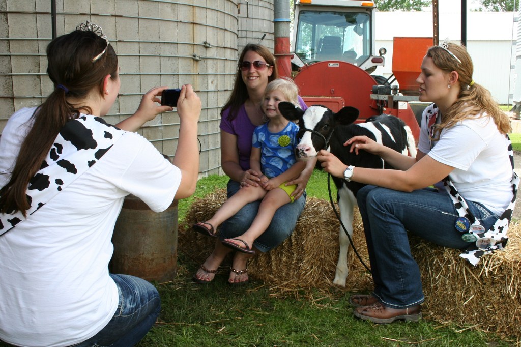 Rice County Dairy Princess Tracie Korbel takes photos while Dairy Princess Kaylee Wegner tends the calf.