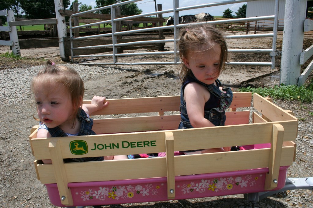 Twins Kelly and Emily, almost two, visit the farm with their dad.