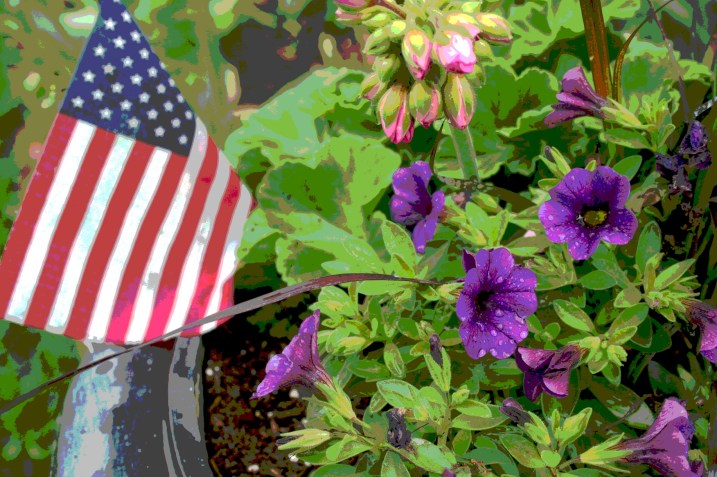 An American flag complements million bells and a geranium in a pot near my front door.