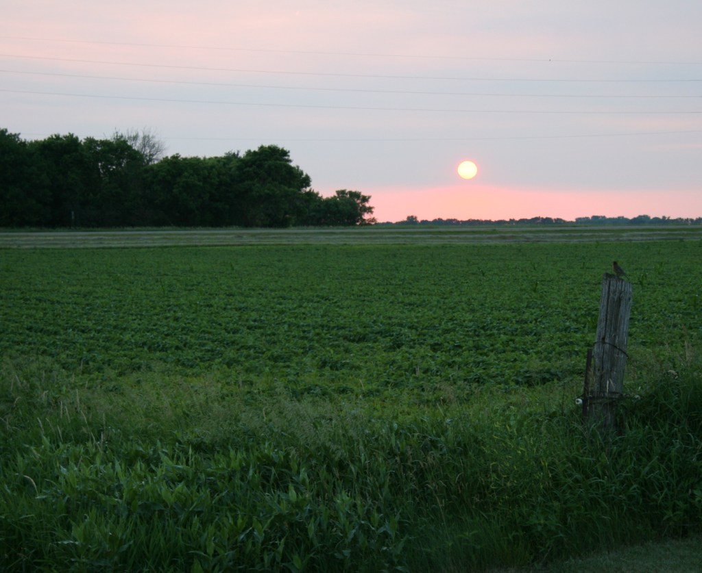 Sunset on the prairie