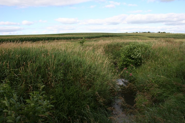 A creek winds through the property.