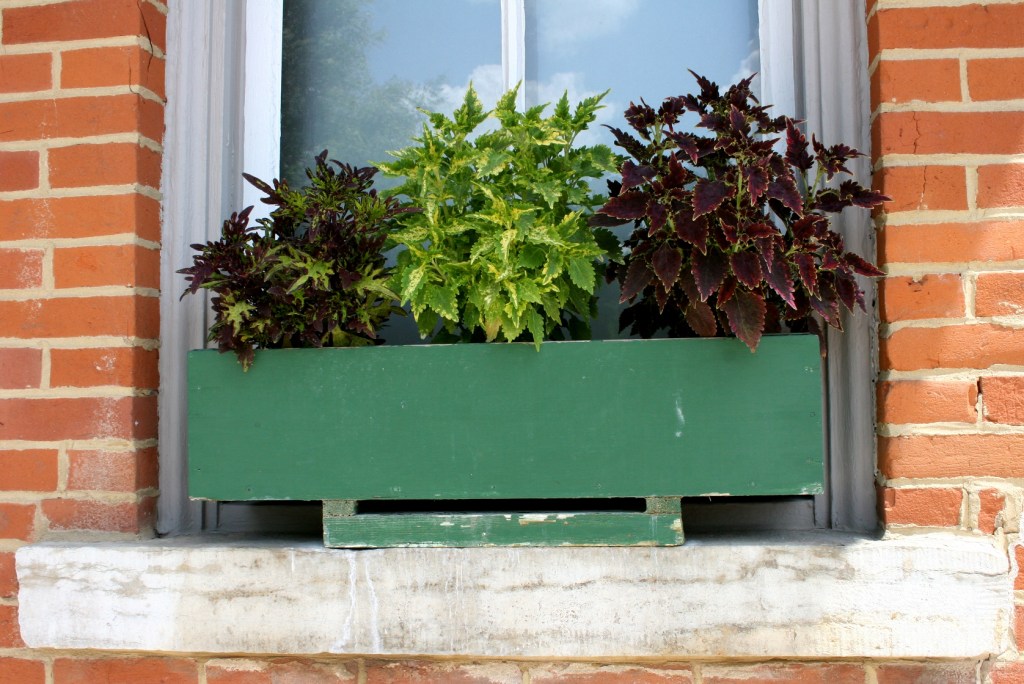 It's the details that count, that show a community truly cares like vibrant plants in windowboxes.