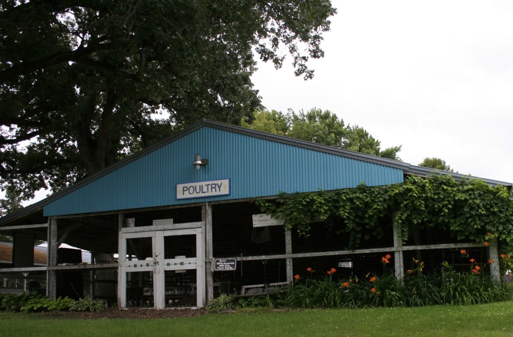 Space for chickens and ducks and geese and such poultry.