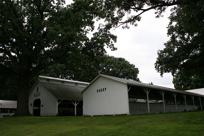 Always a fair favorite, the sheep.