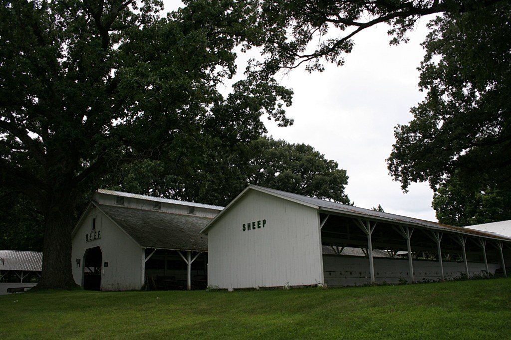 Always a fair favorite, the sheep.