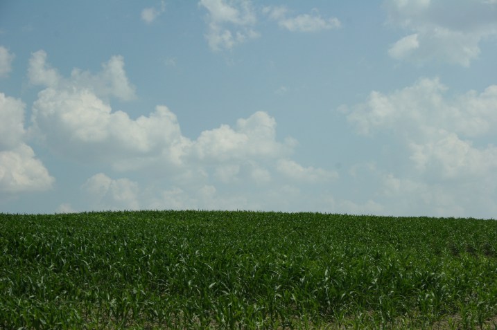North Morristown is set in the middle of farm fields.
