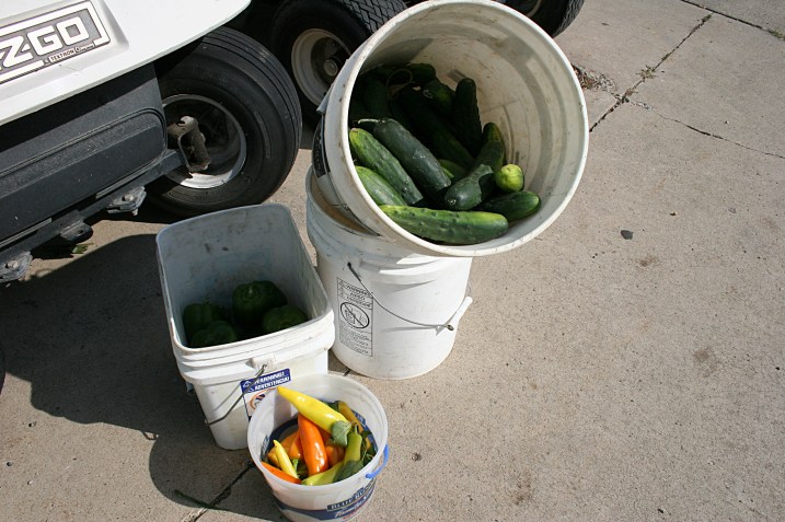 Cucumbers and peppers, three for $1.