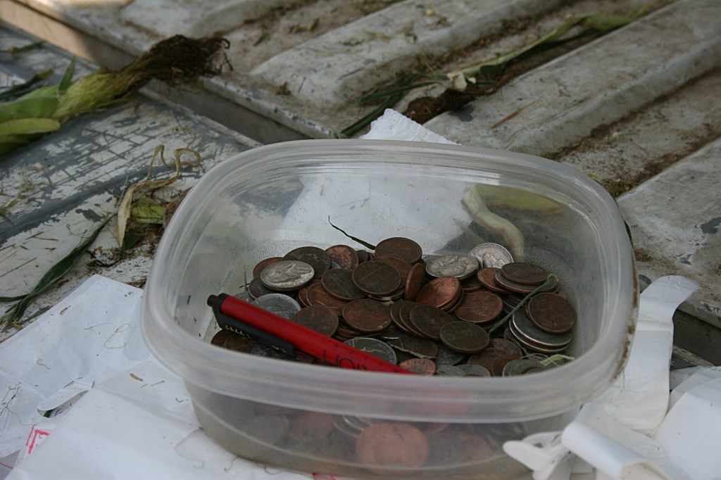 For less than $5, we purchased half a dozen ears of sweetcorn, three cucumbers, a green pepper and a zucchini.
