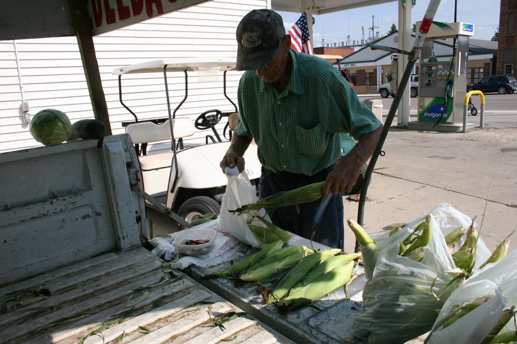 Bagging our sweetcorn late Sunday afternoon.