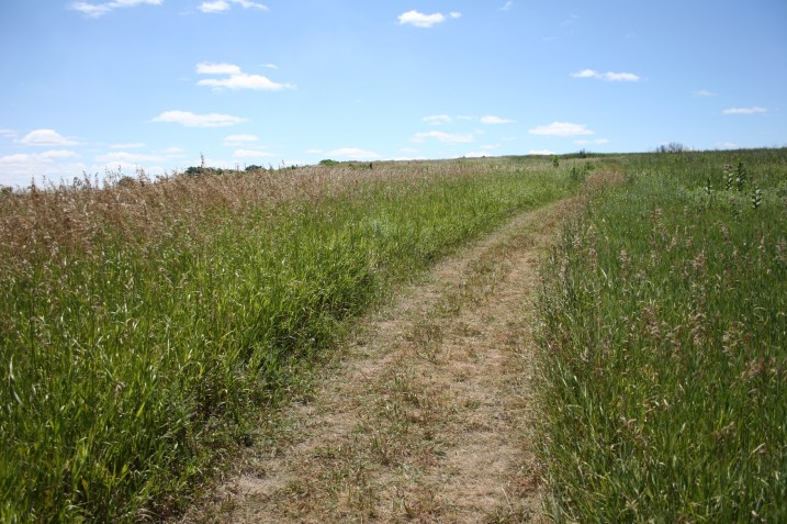 Hiking the path up and through the prairie grass.