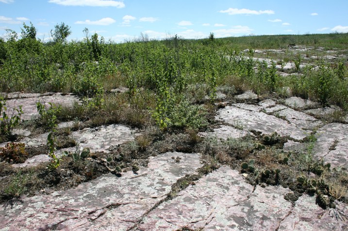 Mounds of flat rock naturally planted upon the prairie.