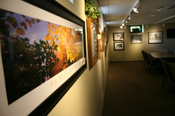 A familiar scene to me, autumn leaves photographed in the Big Woods of Minnesota, within 20 miles of my home.