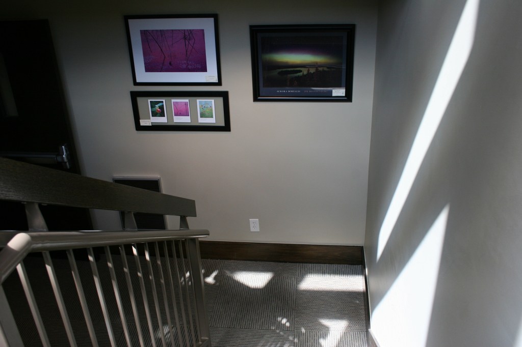 Light plays upon walls, floors and Brandenburg photos in a stairway display.