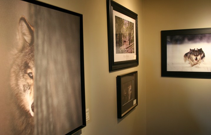 Brandenburg's published books include Brother Wolf--A Forgotten Promise.