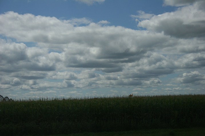 Frame 8: Just the tip of the plane visible above the cornfield.